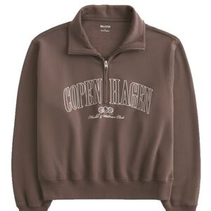 Hollister Brown Zip-Up Sweater